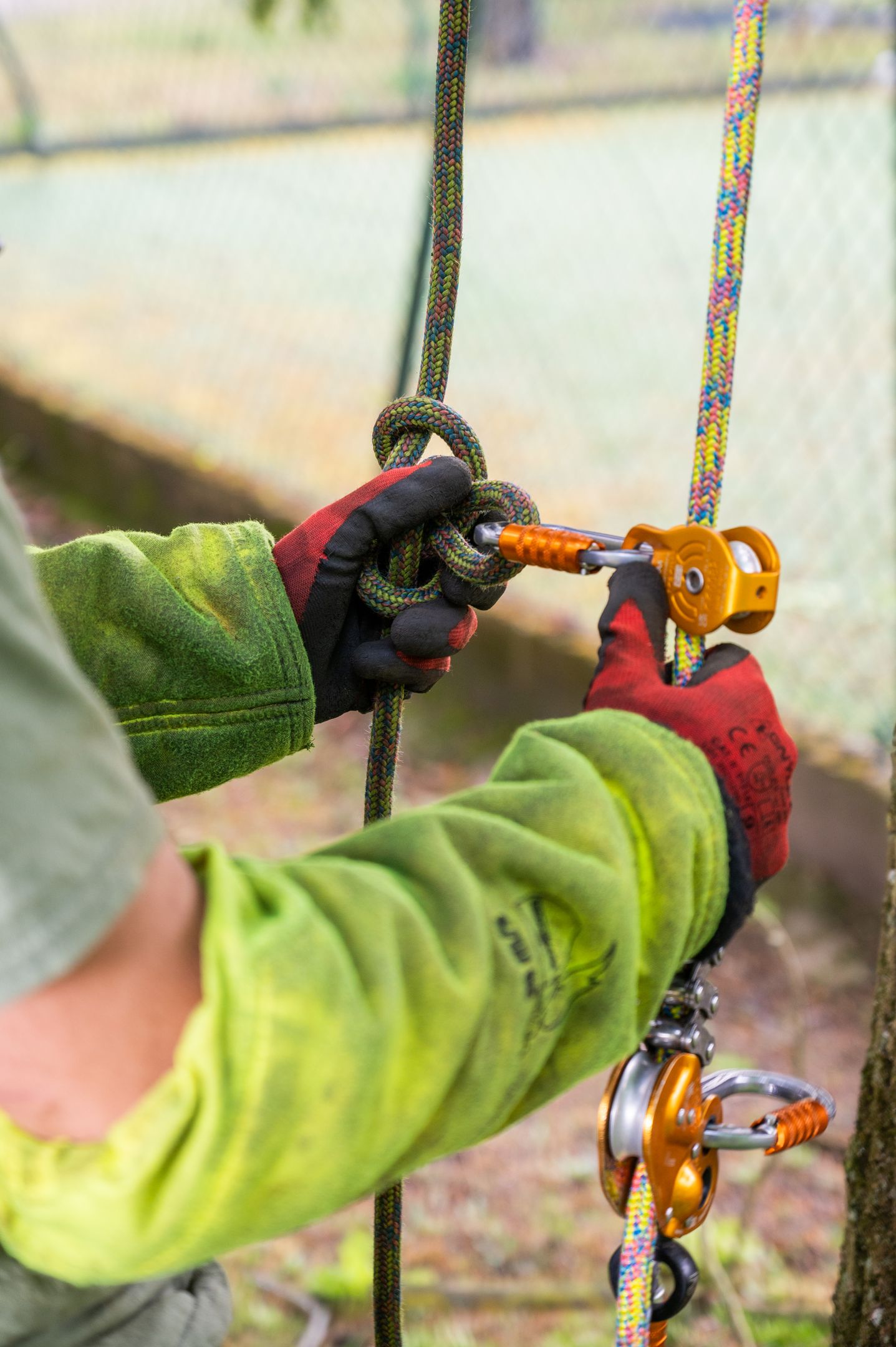 Nos arboristes au service de vos arbres